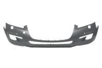 Bumper 5510005527901P