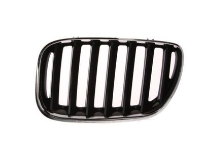 Radiateurgrille 6502070095995P