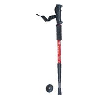 TREKKING STICK BBD 1.0