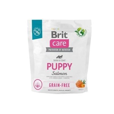 Brit Care Brit Care Dog Grain-free Puppy 1kg