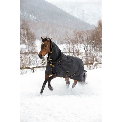 Deken Bucas Irish Turnout Full Neck 50gr, 165 cm in zwart/goud Deken Bucas Irish Turnout Full Neck 50gr, 165 cm in zwart/goud