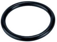 Europond EPDM O-ring 59,7x5,3mm - Weerbestendige Vijver Koppeling voor EconoBead Systemen