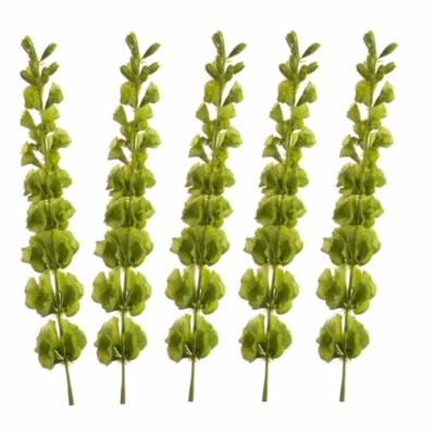 Kunstplant - Set van 5x stuks - Molucella - 80 cm - groen - losse tak voor kunstbloemen boeket
