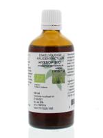 Natura Sanat Hyssopus officinalis herba / hyssop bio