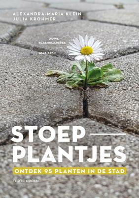 Stoepplantjes (Paperback)