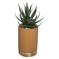 Atmosphera kunstplant vetplant in pot van cement bruin 20 cm - thumbnail