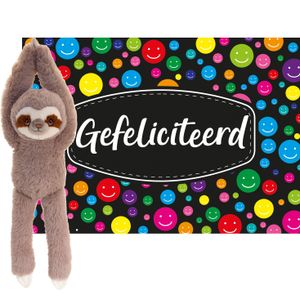 Keel toys - Cadeaukaart Gefeliciteerd met knuffeldier luiaard 50 cm