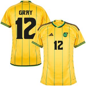 Jamaica Shirt Thuis 2023-2024 + Gray 12