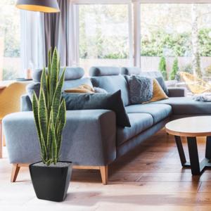 Sanseveria kunstplant 110cm - bont