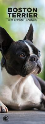 Boston Terrier Slimline Kalender 2026 Boston Terrier Slimline Kalender 2026