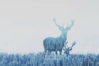 Karo-art Schilderij - Herten opgenomen door het bos , Blauw wit , 3 maten , Premium print