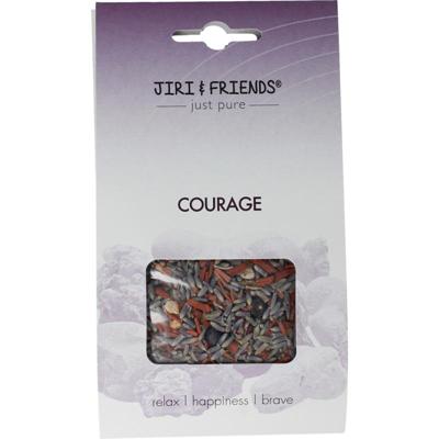 Jiri & Friends jiri&fr harswierook courage