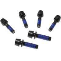 Ritchey - stuurpen vervangingsbouten wcs c260 25d set 6 stuks