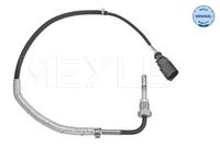 Sensor, uitlaatgastemperatuur 1148000252