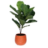 Plantenpot/bloempot Pebblo - keramiek/geglazuurd?- oranje - druppels - D17 x H15 cm