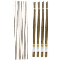 Gerimport Plantenstokken - 40x stuks - 90 cm - plantensteun / tonkinstokken
