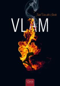 Vlam (Hardback)