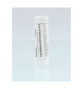 Calendula officinalis D12