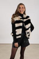 Nukus Gilet NKF08015 Nukus Gilet NKF08015