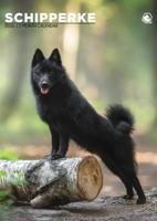 Schipperke A3 Kalender 2026