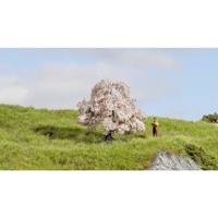 NOCH 20147 Boom Fruitboom 60 mm 1 stuk(s)