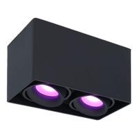 Esto smart Opbouwspot - Vierkant - Plafondspot - 2-Lichts - Kantelbaar - RGBWW - Wifi + Bluetooth - Google Home, Amazon Alexa en Siri - Zwart - Bestuurbaar via App en Stem