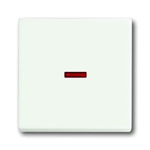 Busch-Jaeger bedieningswip 1789-884 studiowit mat