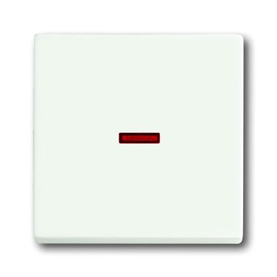 Busch-Jaeger bedieningswip 1789-884 studiowit mat