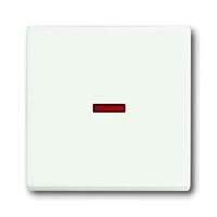 Busch-Jaeger bedieningswip 1789-884 studiowit mat