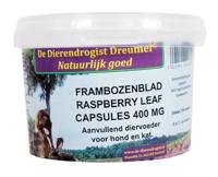 Dierendrogist Dierendrogist frambozenblad capsules - thumbnail