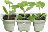Elho Green Basics zaaitray 22cm steengroen