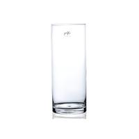 Bellatio flowers & plants Bloemenvaas - glas - cilinder - 12 x 30 cm - transparant - ronde buis vaas Bellatio flowers & plants Bloemenvaas - glas - cilinder - 12 x 30 cm - transparant - ronde buis vaas