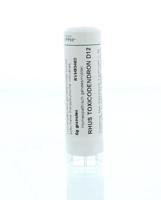 Rhus toxicodendron D12 6 Gram