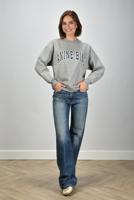 Anine BIng trui Spencer A-08-11531-GRM1 grey melange