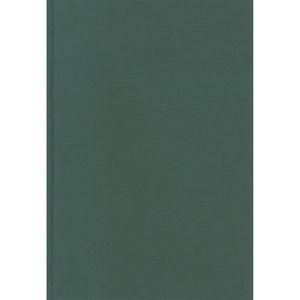 Blanco Notitieboek A5 Groen