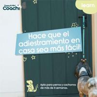 Hondentuigje Coachi