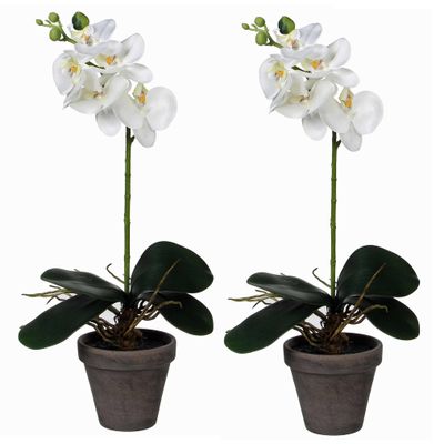 2x stuks phalaenopsis Orchidee kunstplanten wit in grijze pot H48 x D13 cm 2x stuks phalaenopsis Orchidee kunstplanten wit in grijze pot H48 x D13 cm