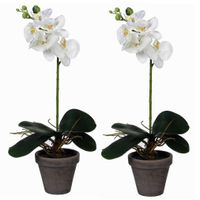 2x stuks phalaenopsis Orchidee kunstplanten wit in grijze pot H48 x D13 cm - thumbnail