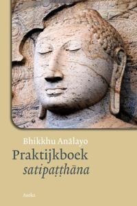 Praktijkboek satipatthana (Paperback)