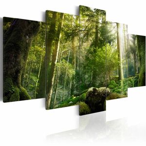 Schilderij - De Schoonheid van het Bos,  5luik , groen , premium print op canvas