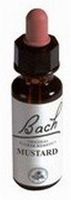 Alive BA21 Mustard (50 ml)