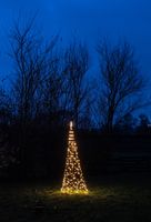 Tree With Star On Pole diameter70X200 cm 236 Led Classic Warm - Anna's Collection