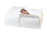HÄUSSLING Royal donzen cassette dekbed extra warm (200 x 200 cm)