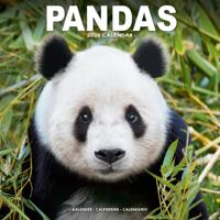 Panda Kalender 2026