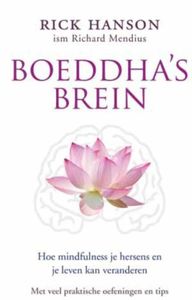 Boeddha's brein - Rick Hanson - ebook