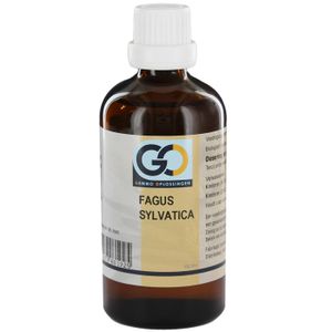 GO Fagus sylvatica BIO