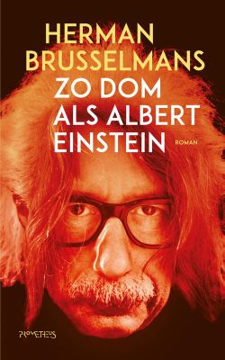 Zo dom als Albert Einstein - Herman Brusselmans - ebook