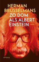 Zo dom als Albert Einstein - Herman Brusselmans - ebook