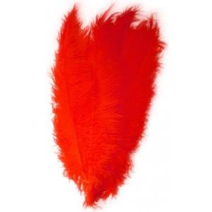 Grote veer/struisvogelveren - rood - 50 cm - Carnaval - Sierveren/decoratie veren