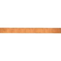 Striebel & John 2CPX061362R9999 Koperrail 500 A 1 stuk(s)